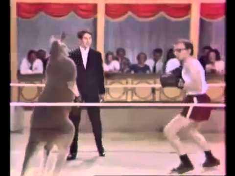 Hài hước trận đấu boxing giữa người và Kanguru