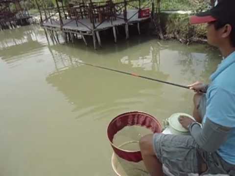 Câu Cá Tốc độ nhanh
