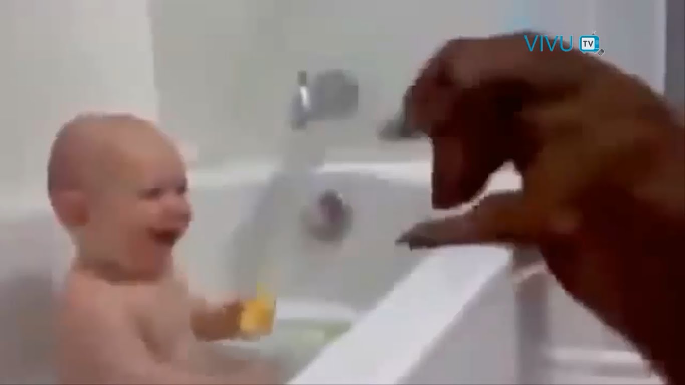 Những chú chó thích đùa nhất thế giới =)) Cực đáng yêu