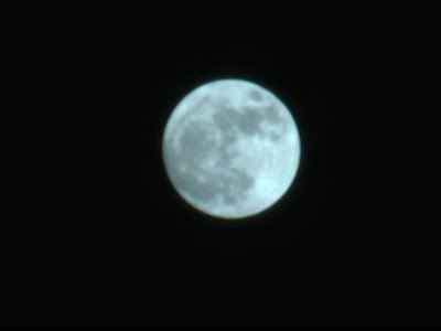 Raw: Super Moon Rises Over South Florida