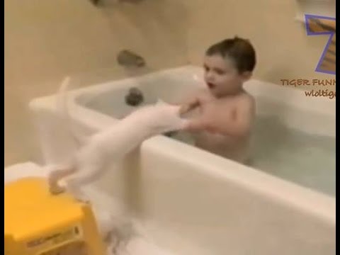 Khi mèo gặp....nước