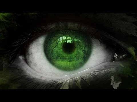 Video ý nghĩa - Hãy giữ lấy thiên nhiên