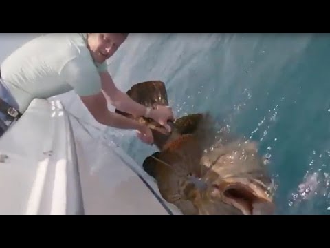 Họ chính là những người đầu tiên trên thế giới câu được "Công chúa thủy tề" - Loài cá rô biển to nhất thế giới