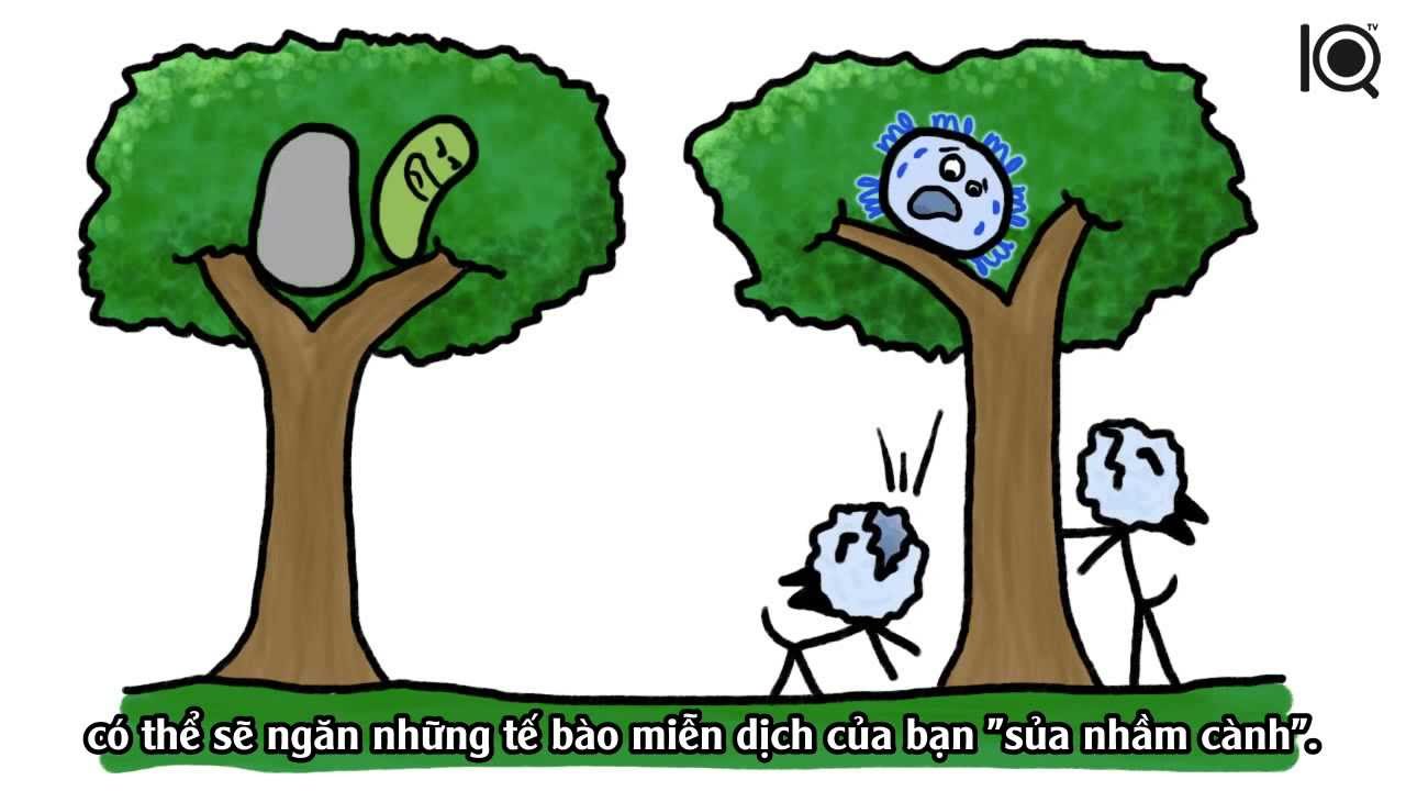 Chó có ích như thế nào từ trước khi bạn sinh ra?