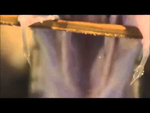 This is What Snake Venom Does to Blood!