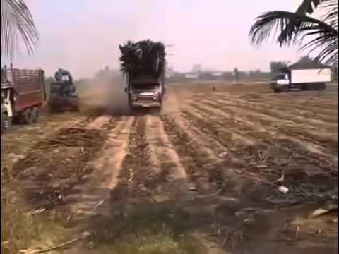 Bốc đầu xe máy thì tuổi gì với anh