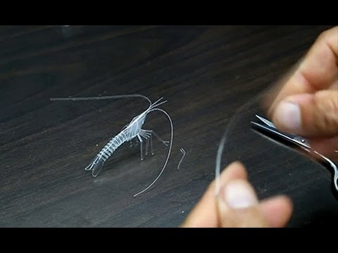 Hướng dẫn cách làm con tôm từ ống hút cực đẹp
