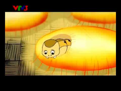 Quà Tặng Cuộc Sống - Tằm và Nhện