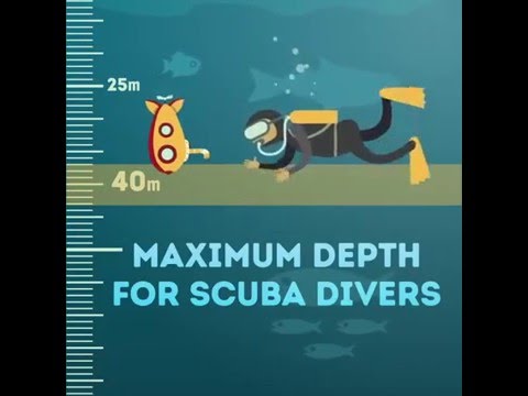 Đại dương sâu tới mức nào?