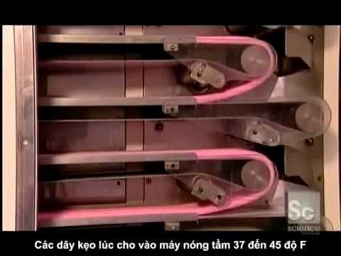 Kẹo cao su và quy trình sản xuất "kì diệu"