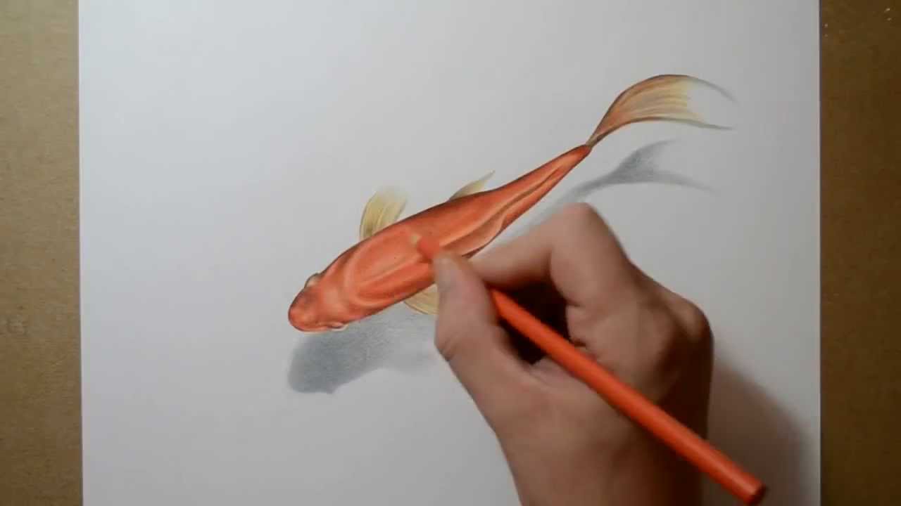 Hướng dẫn vẽ cá 3D cực đẹp