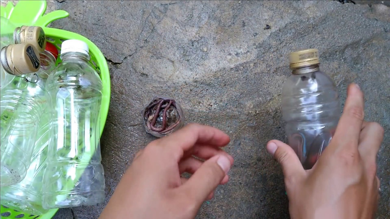 Làm phao câu cá bằng chai nhựa và cái kết bất ngờ