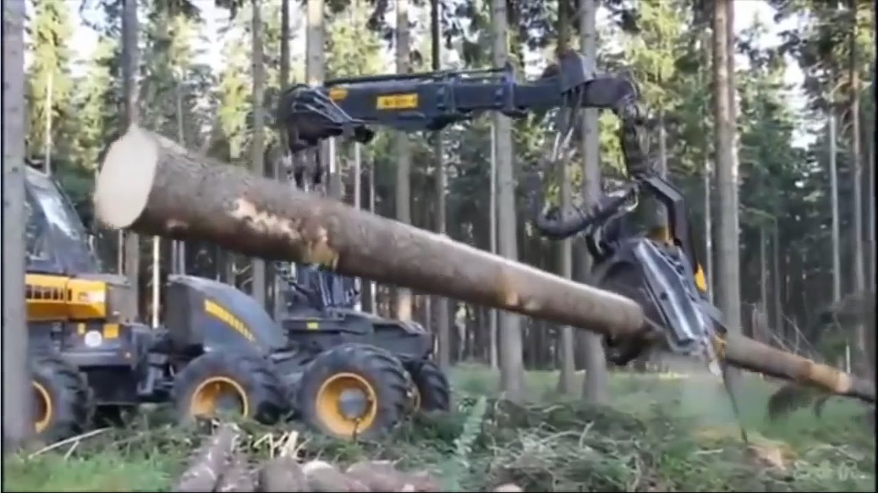 Đây là cách những cỗ máy móc và xe khủng nhất thế giới san phẳng cả cánh rừng 
