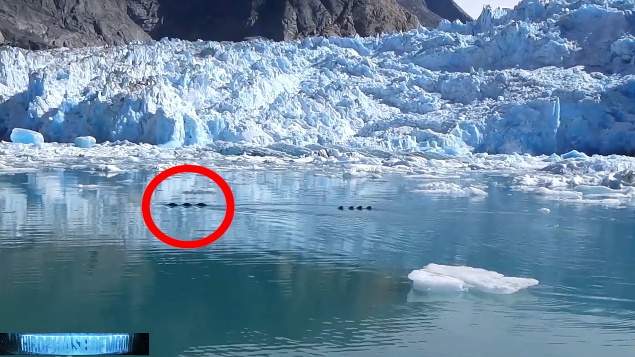 HUGE!!! Dragon SEA Serpent MONSTER Captured on VIDEO HD Alaska! UFO Eye Witness!! 11/19/2016