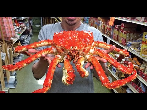 Bắt cua khổng lồ không thể dễ dàng hơn