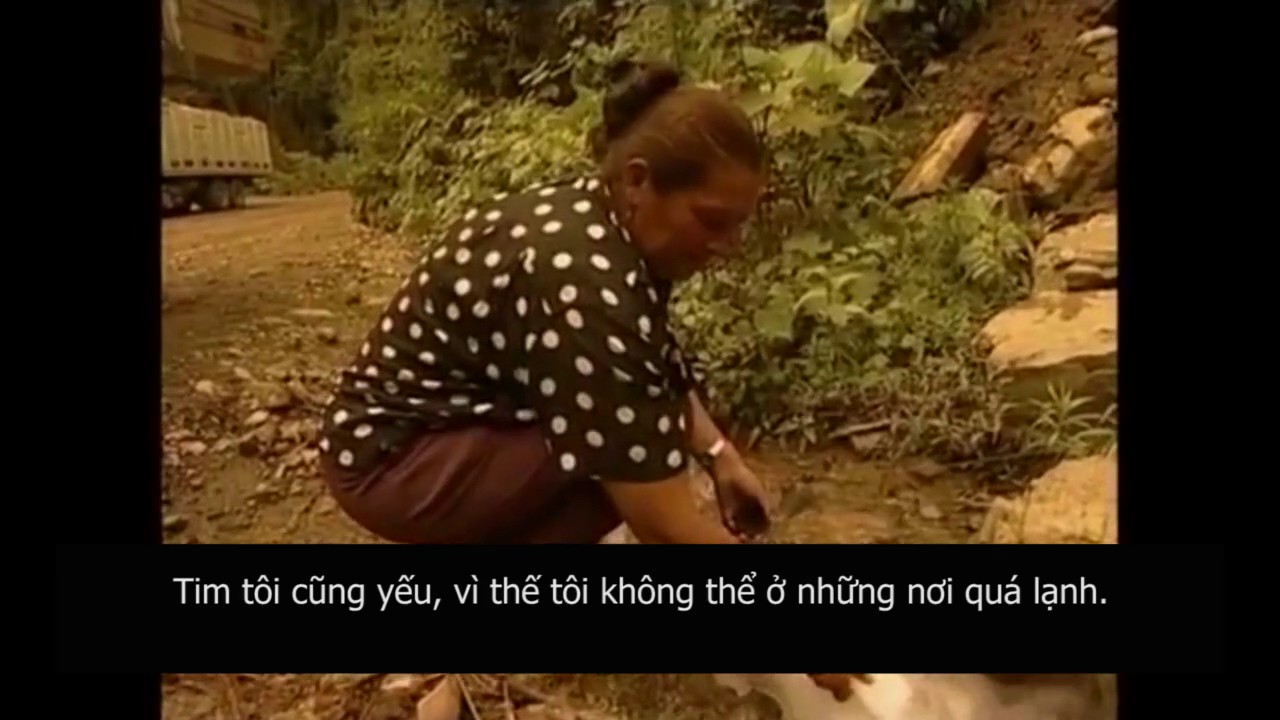 Nữ tài xế xe tải trên đường Tử thần ở Bolivia 