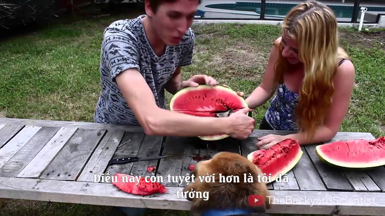 Đổ nhôm nóng vào dưa hấu, chuyện gì sẽ xảy ra?