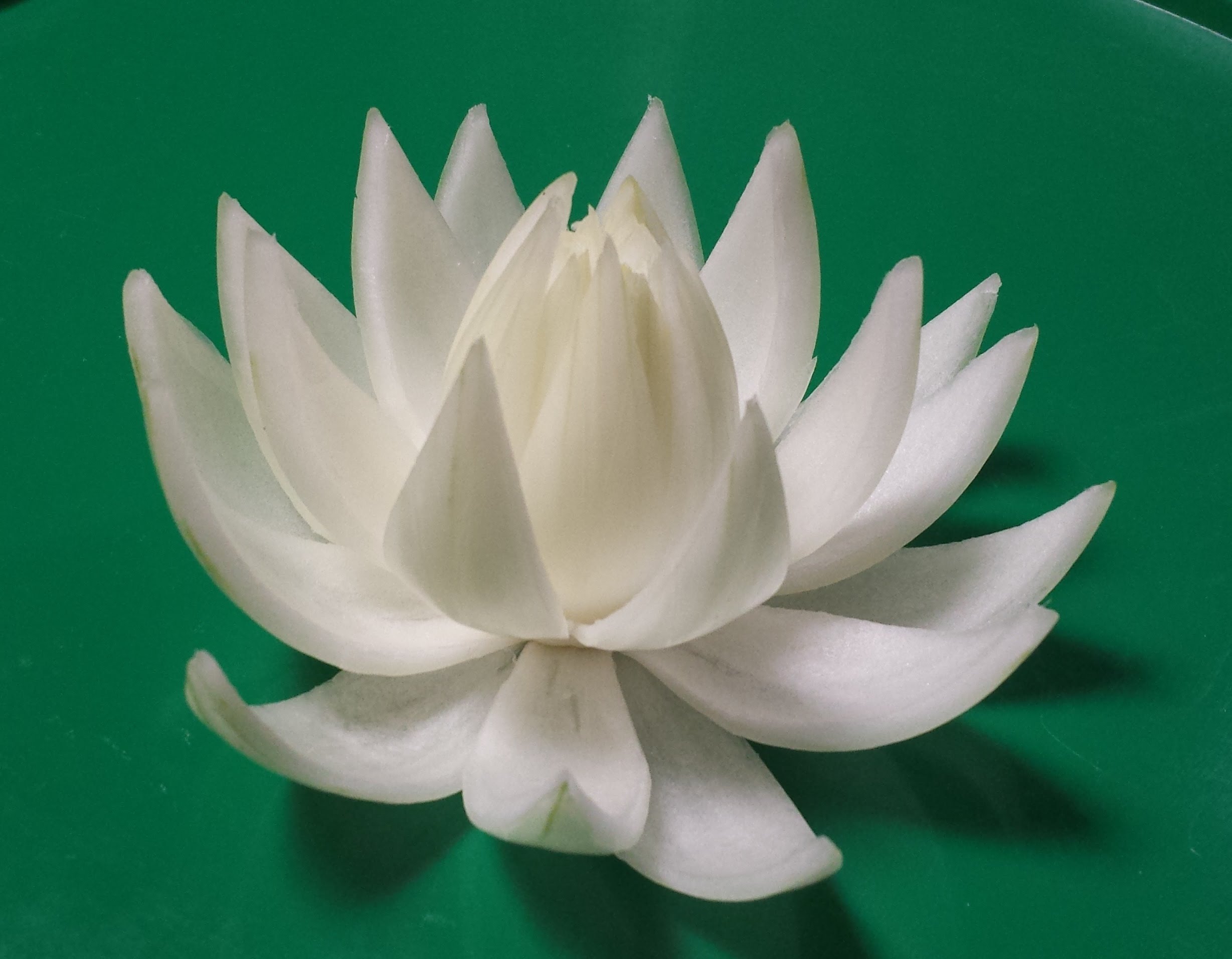 Hướng dẫn cách tỉa hoa Sen từ củ Hành-Carving Lotus flower from Onion-Blumen schnitzen aus Zwiebel.
