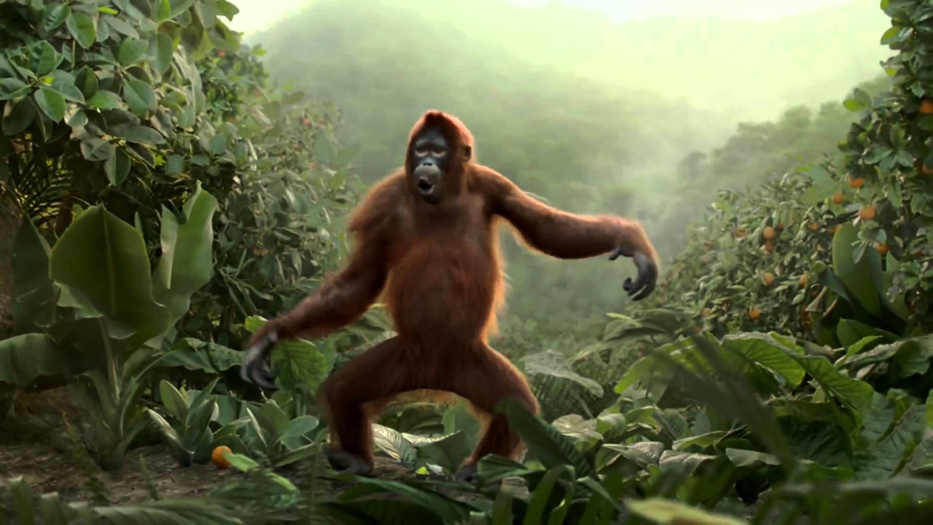 Khỉ nhảy Gangnam Style