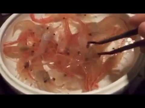Sushi Tôm sống - một trong những món ăn sống của người Nhật.