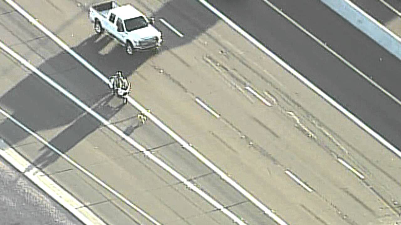 Amazing Puppy Rescue on Busy Freeway After Car Crash