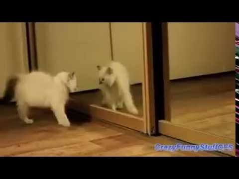 Khi nhìn thấy bản mặt thật của mình