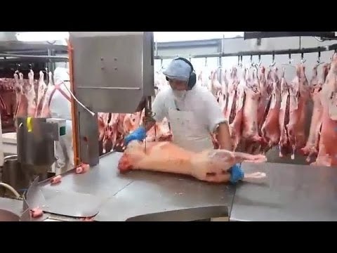 Những bàn tay khiến máy móc cũng phải ghen tị