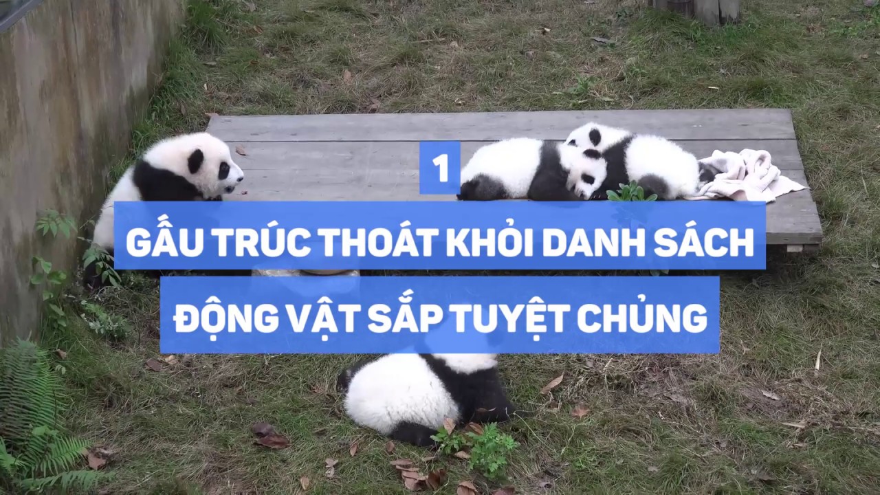 12 thành tựu khoa học đáng chú ý năm 2016