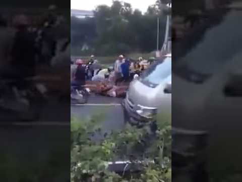 Đám Đông Lao Ra Hôi Thịt Trâu Chết Giữa Đường