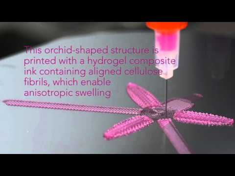 4D Printing: Shapeshifting Architecture
