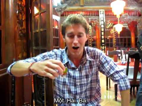 Khách Tây rùng mình uống trọn chén rượu pha mật rắn