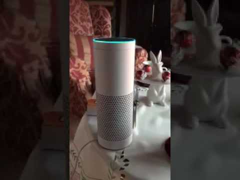 Xem trợ lý ảo Alexa phát âm tên thị trấn dài nhất Châu Âu
