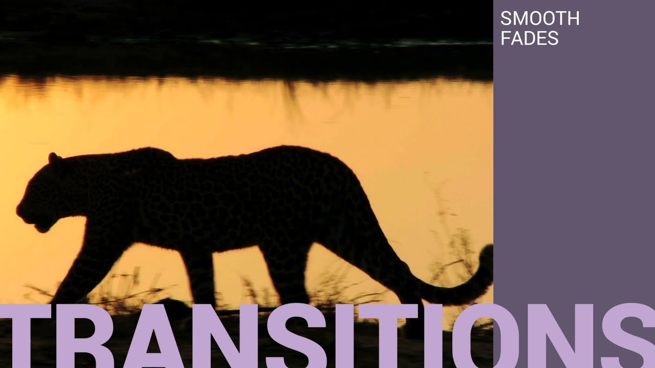 Movavi Video Editor - Transitions