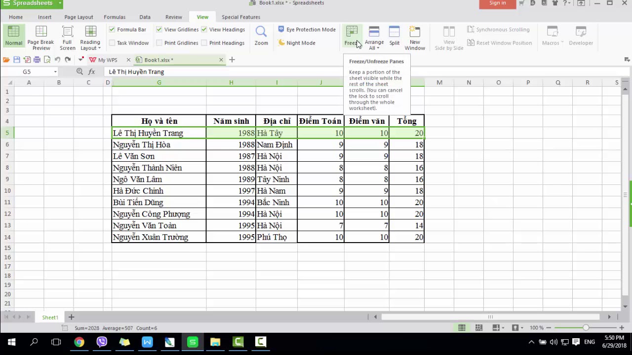 Hướng dẫn cố định dòng, cột trong Excel