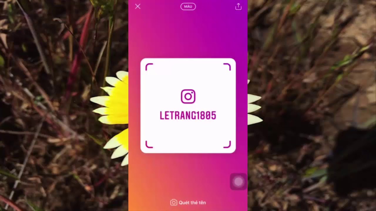 Hướng dẫn cách tạo thẻ tên trên Instagram