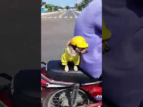 An toàn là trên hết.   Ảnh quá ngầu😎