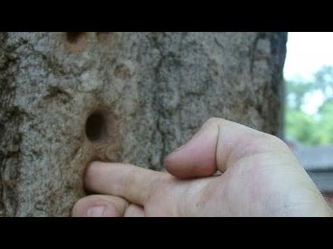 Nội công thâm hậu mới làm được điều này!