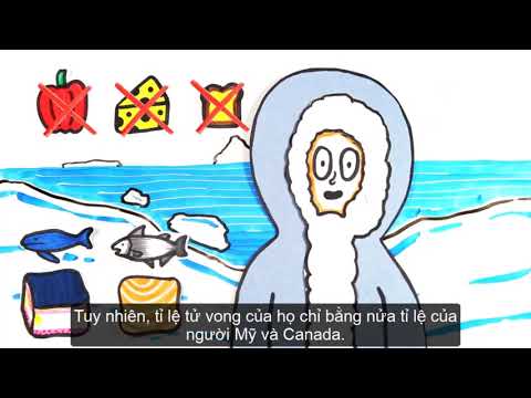 Điều gì sẽ xảy ra nếu bạn chỉ ăn mỗi thịt?