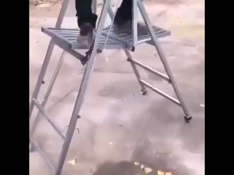 Chiếc thang độc đáo giúp bạn tiết kiệm nhiều thời gian và công sức