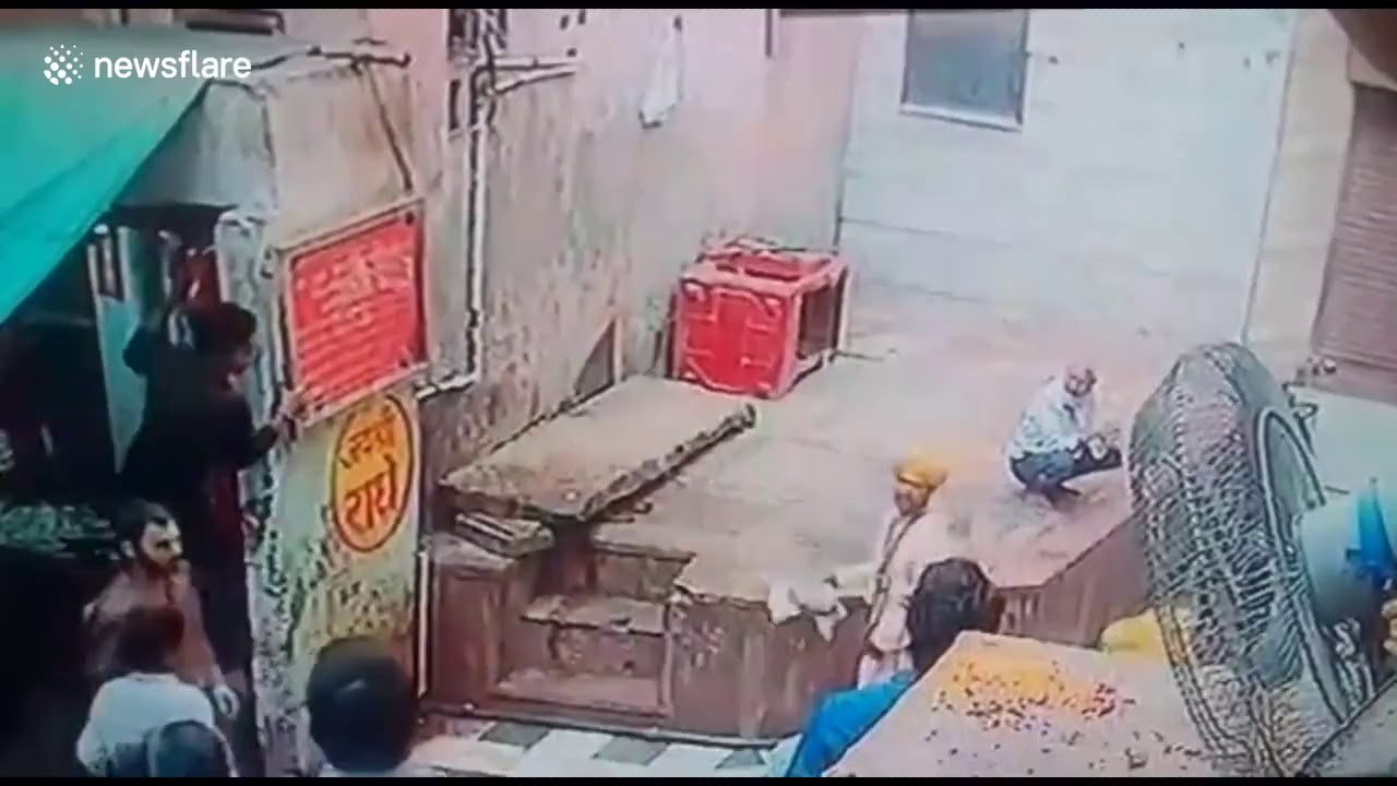 Clip khỉ láu cá cướp rắn hổ mang từ tay người biểu diễn