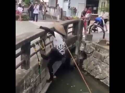 Khi bạn là cao thủ võ lâm nhưng lại phải làm nghề lái đò