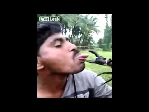 Người đàn ông bị cua đá cắp rách lưỡi vì nghịch dại