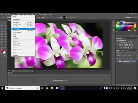 Cách chỉnh kích thước ảnh trong Photoshop - Download.com.vn