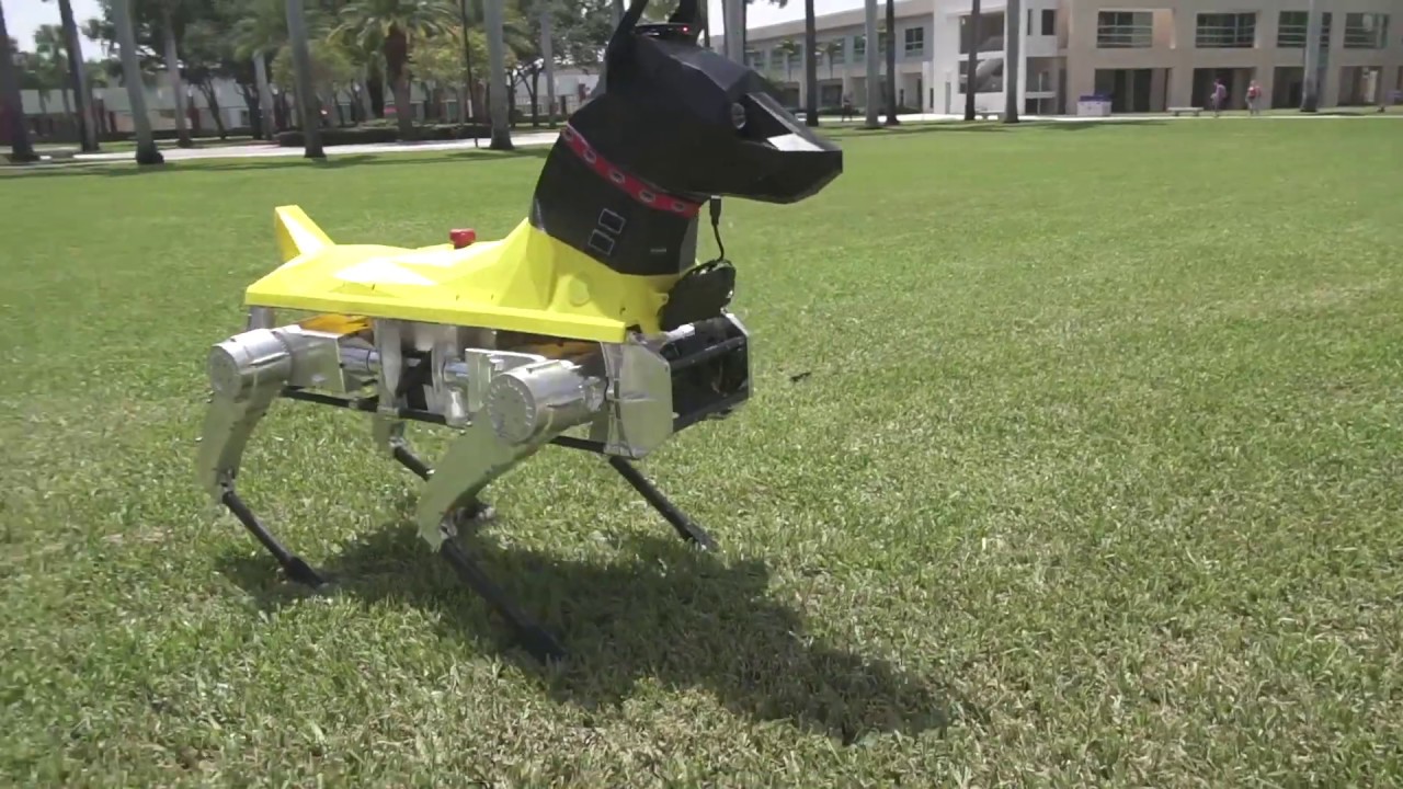 Who’s a ‘Good Boy?’ Astro, FAU’s Smart Robodog That’s Who