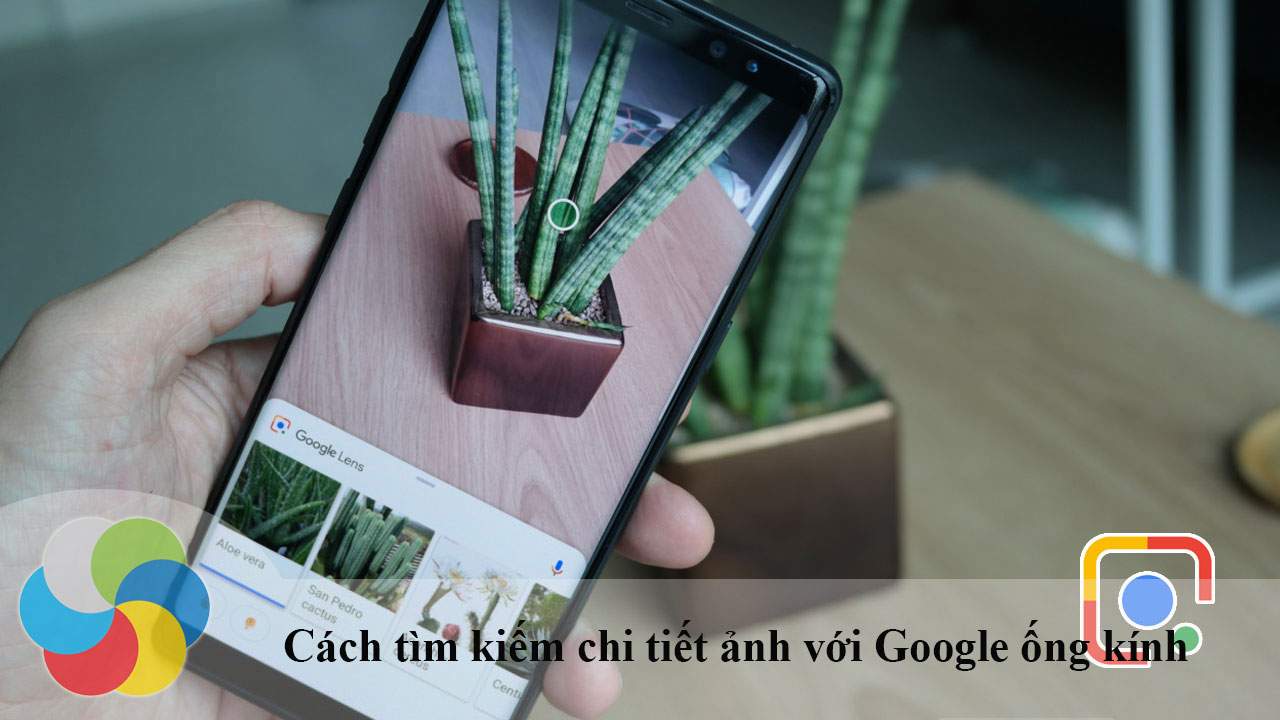 Hướng dẫn tìm kiếm chi tiết ảnh với Google trên điện thoại