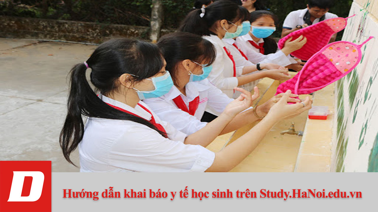 Hướng dẫn khai báo y tế học sinh trên Study.HaNoi.edu.vn