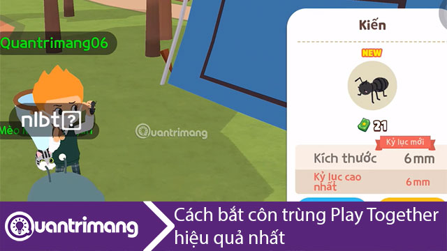 Cách bắt côn trùng trong Play together dễ dàng và hiệu quả nhất