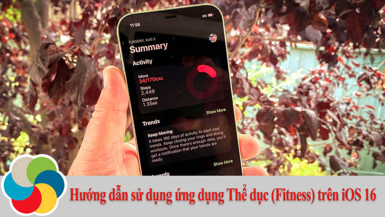 Hướng dẫn sử dụng ứng dụng Thể dục (Fitness) trên iOS 16