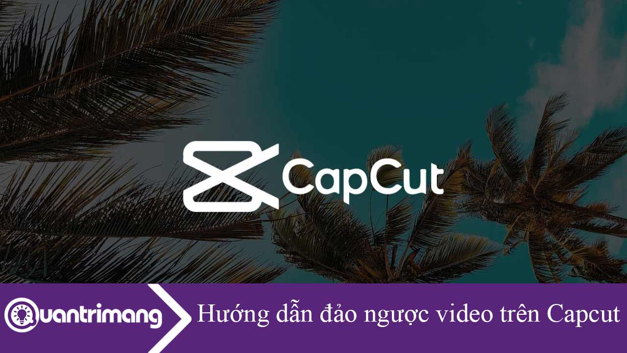 Hướng dẫn đảo ngược video trên Capcut