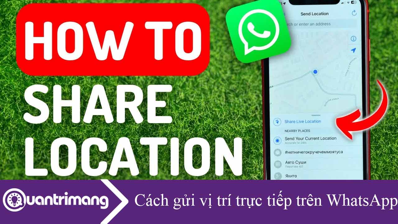 Cách gửi vị trí trực tiếp trên WhatsApp